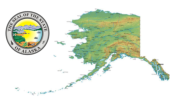 Alaska Car Transport Services